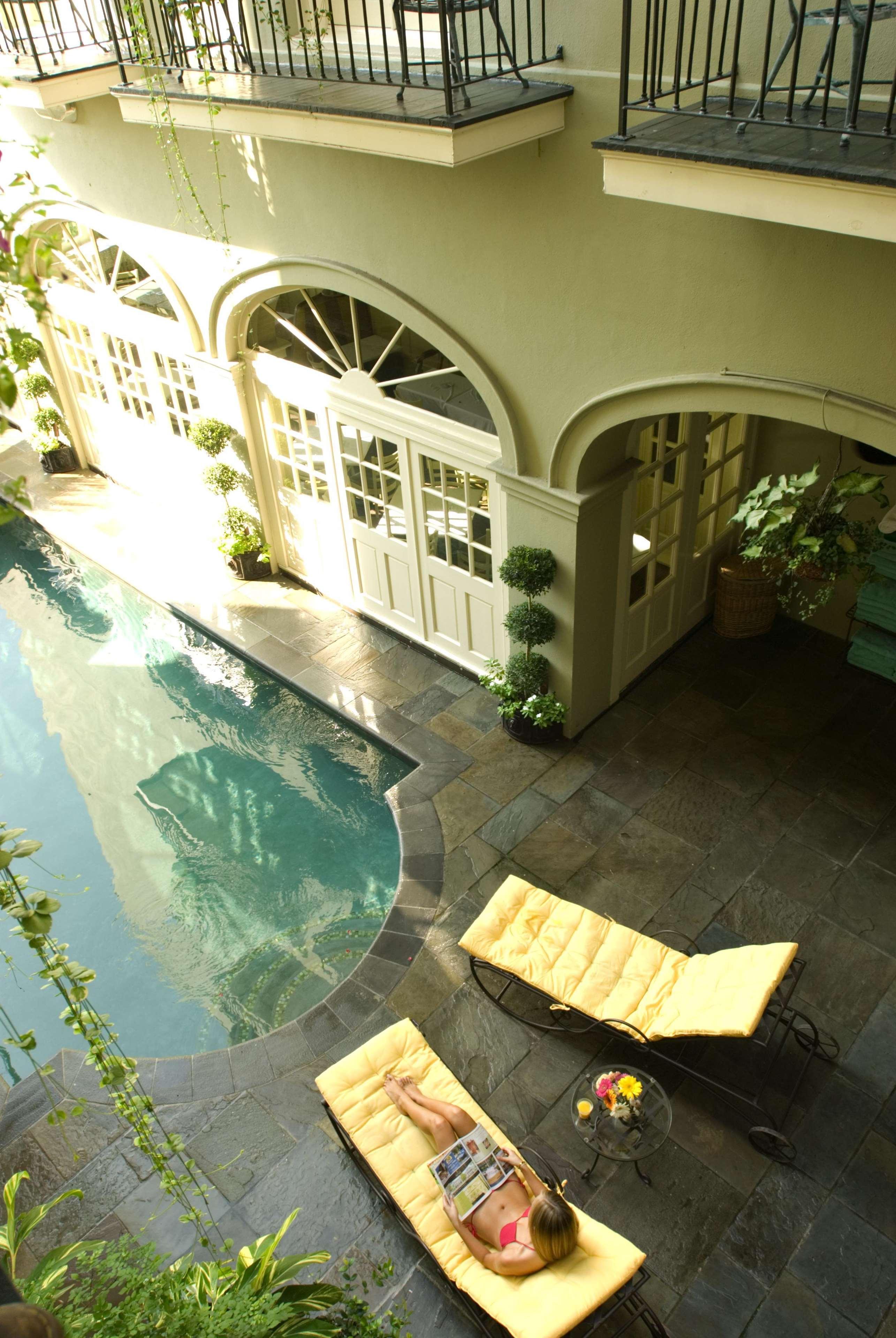 ניו אורלינס Bienville House Hotel מראה פנימי תמונה